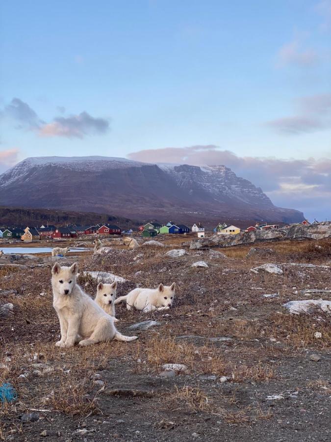 Hotel Disko Island Qeqertarsuaq Exteriör bild